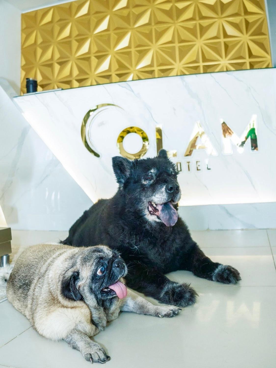 Hotel Olam Deluxe 巴耶杜帕尔 外观 照片